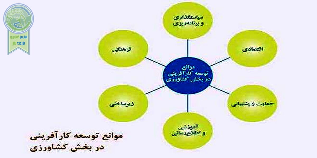 توسعه کارآفرینی کشاورزی؛ موانع و راه‌کارها