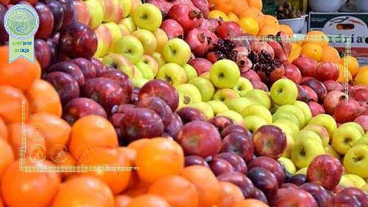 افزایش ۴۰ درصدی قیمت میوه نسبت به اسفند ۹۹