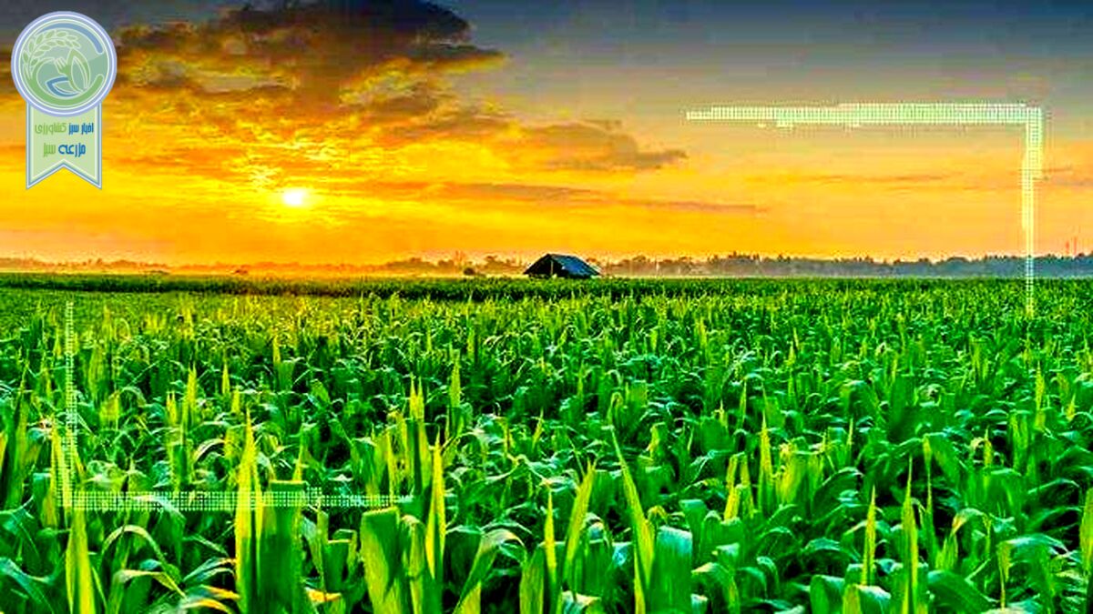 کشاورزی حفاظتی؛ رویکردی برای حراست از آب و خاک