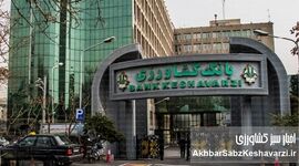 تزریق ۱۳ همت اعتبار «نوی‌پو»؛ نفس تازه به زنجیره دام و طیور