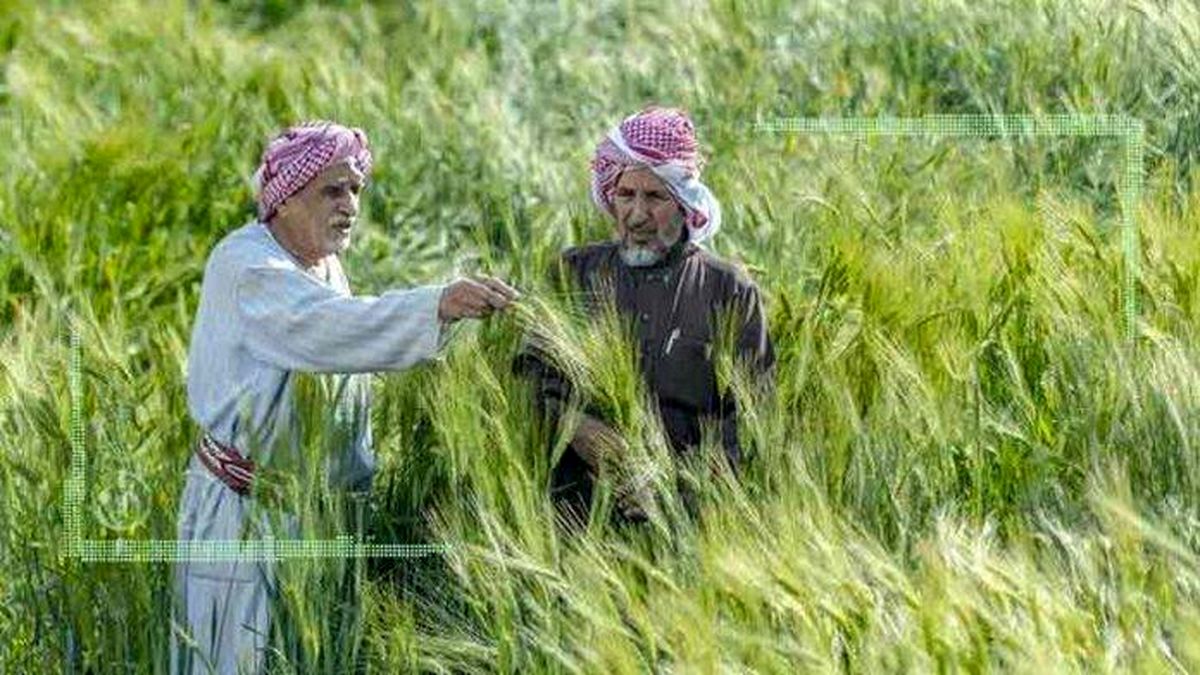 آموزه‌های لجستیک عربستان در تجارت محصولات کشاورزی