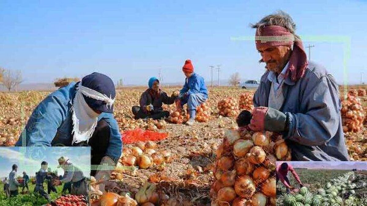 تغییرات اقلیمی کابوس کشاورزان در کرمان
