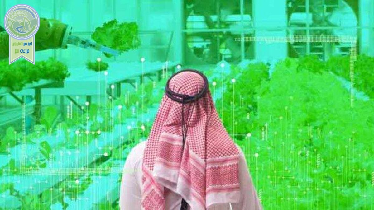 پروژه مزرعه‌های هوشمند عربستان