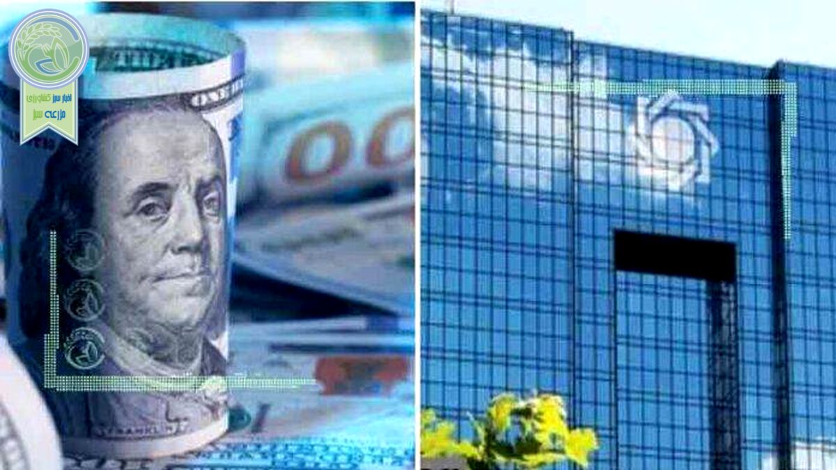 بانک مرکزی قیمت ارز آزاد را کاذب می‌داند