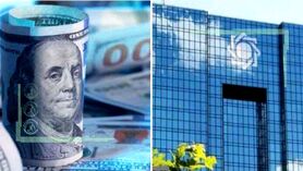 بانک مرکزی قیمت ارز آزاد را کاذب می‌داند