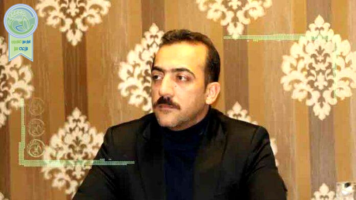 مشکل گرانی گوشت قرمز برای تخم‌مرغ تکرار می‌شود!