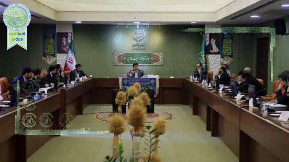 ارتقای تولید گوشت مرغ لازمه صادرات پایدار