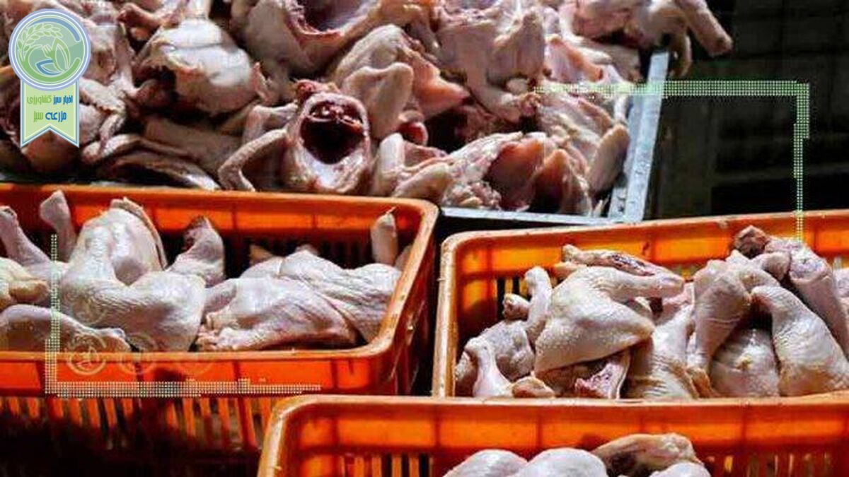 خداحافظی با قیمت‌های دستوری مرغ و تخم‌مرغ