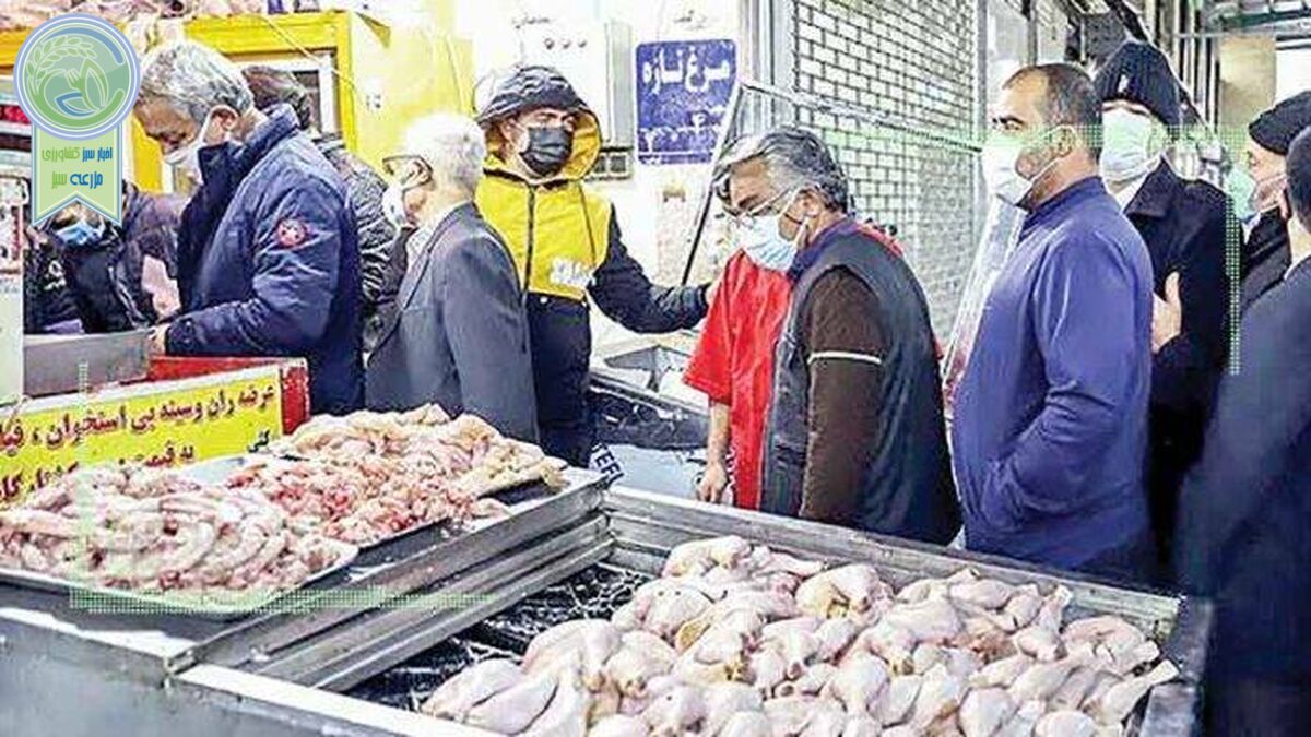 گزارش عملکرداز نحوه مدیریت تامین مرغ در استان‌ها