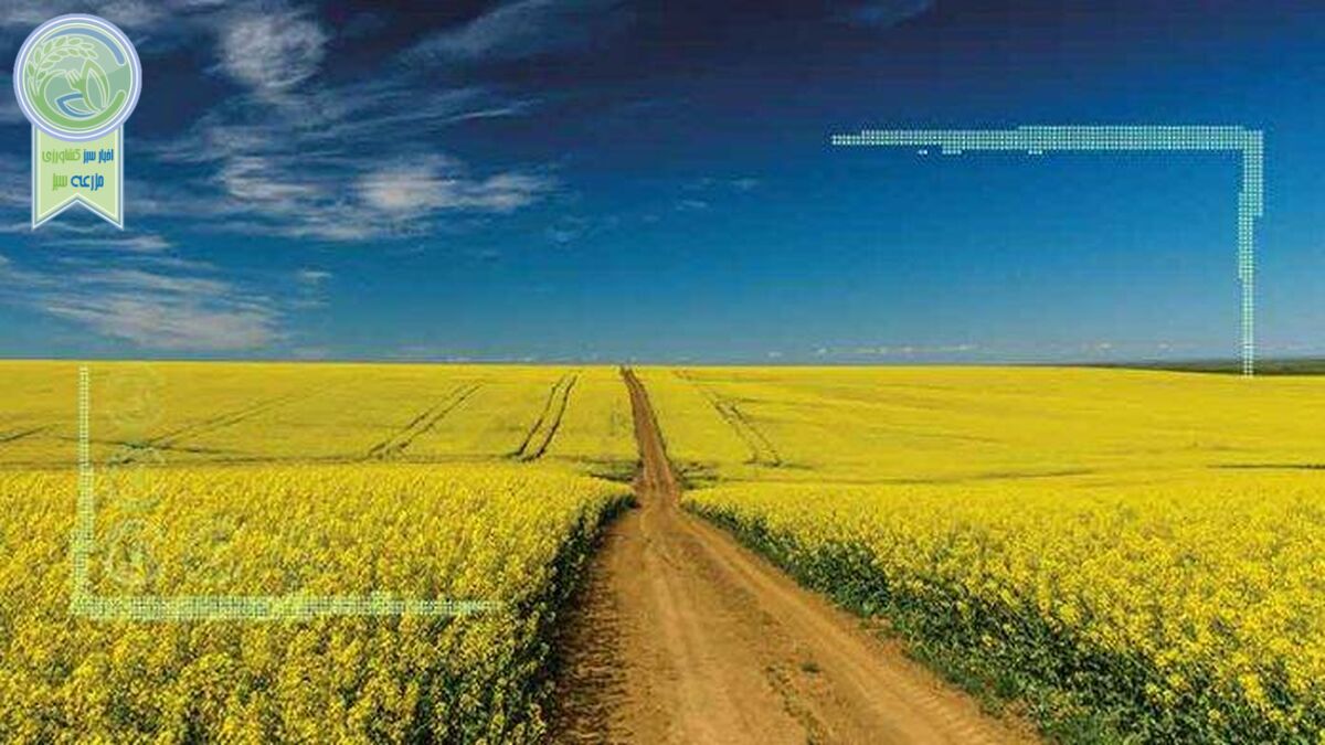 وزیر کشاورزی شورای قیمت‌گذاری خرید تضمینی را وتو کرد