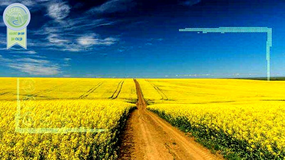 وزیر کشاورزی شورای قیمت‌گذاری خرید تضمینی را وتو کرد