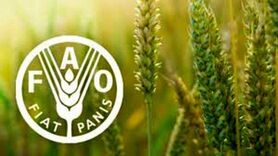 افزایش قیمت مواد غذایی در سایه جنگ اوکراین