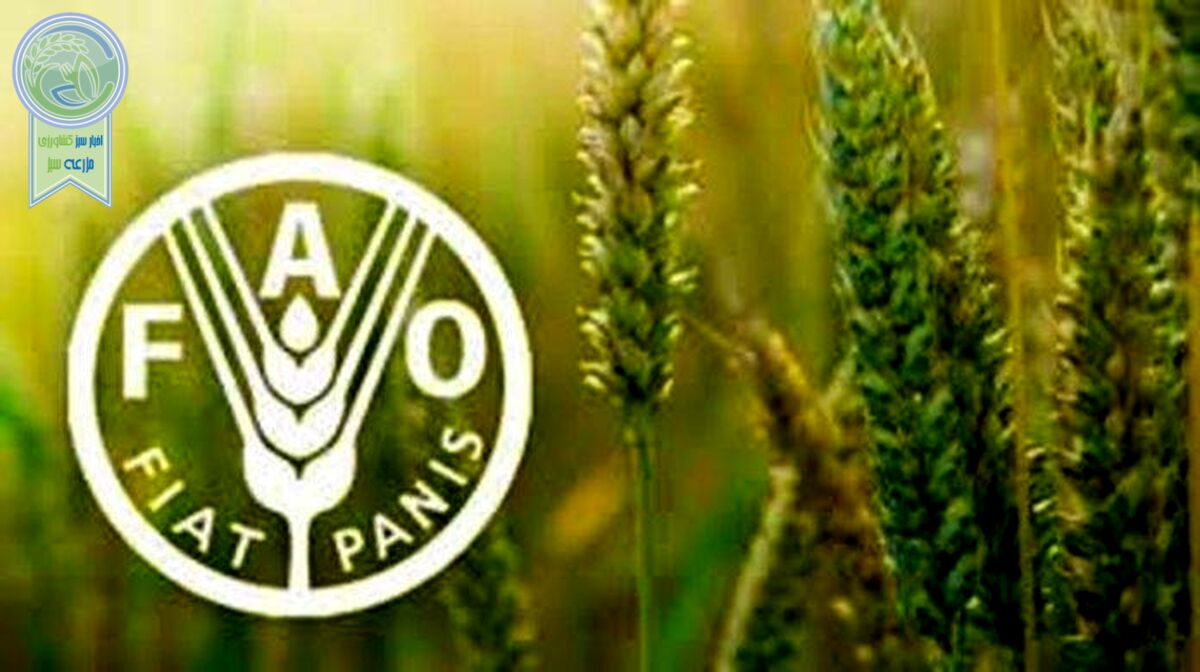 افزایش قیمت مواد غذایی در سایه جنگ اوکراین