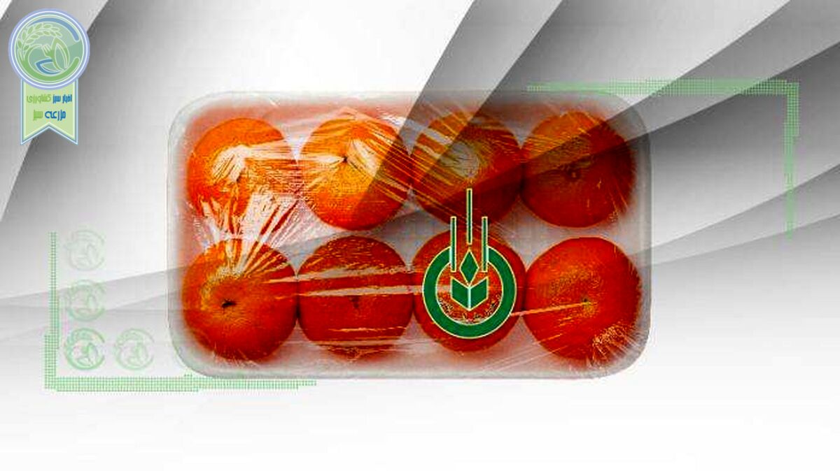 چرا با تضییع‌کنندگان بیت‌المال در تعاون روستایی برخورد نمی‌شود؟