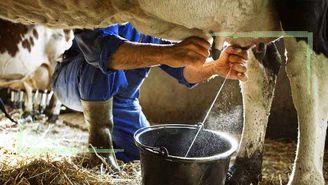 قیمت 12هزار تومان شیر کفاف هزینه‌های تولید را نمی‌دهد