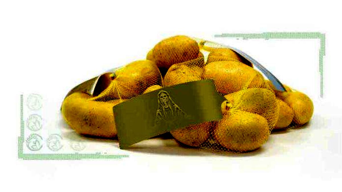 با سیب‌زمینی سبز چه کنیم؟