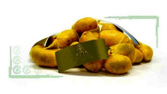 با سیب‌زمینی سبز چه کنیم؟
