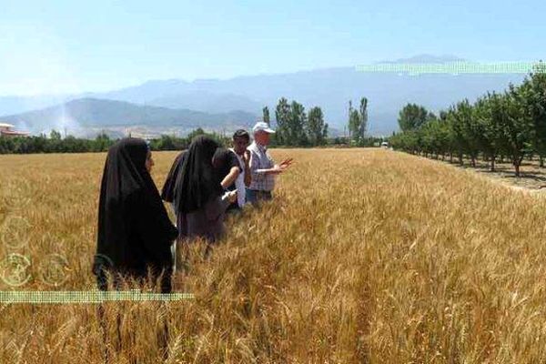 بازدید دانشجویان دانشگاه تربیت مدرس از مزارع استان گلستان