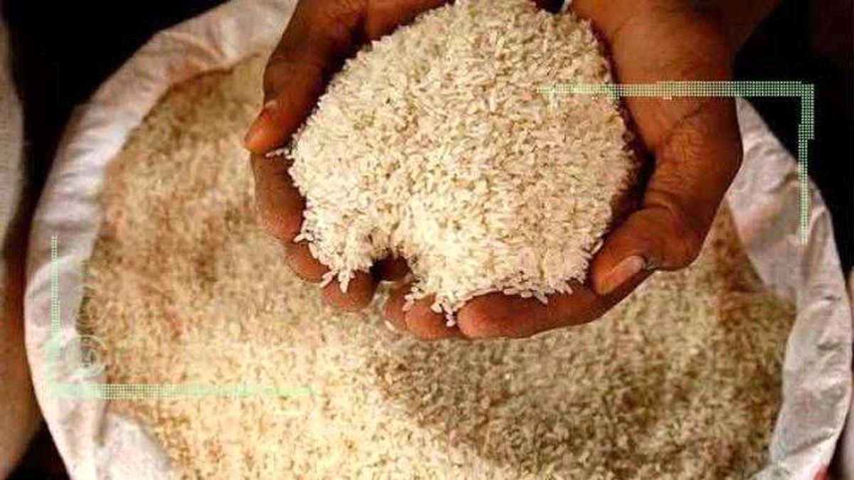 رکود حاکم بر بازار قیمت برنج را کاهش داد