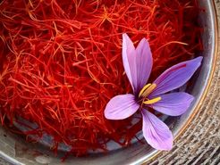 در جهان هر گرم زعفران را 5 یورو می‌خرند؛ در ایران 30 سنت هم نمی‌خرند!