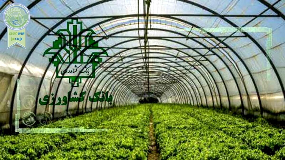 بهره‌برداری طرح‎‌های شهرک گلخانه‌ای حصار گلی با تسهیلات بانک کشاورزی