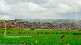 سرریز شیرابه‌ زباله‌ها در شالیزارها