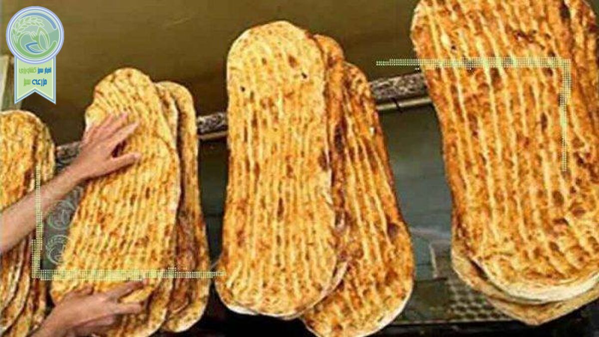 دلایل افزایش مصرف نان؛ گرانی کالاها یا مصارف دامی