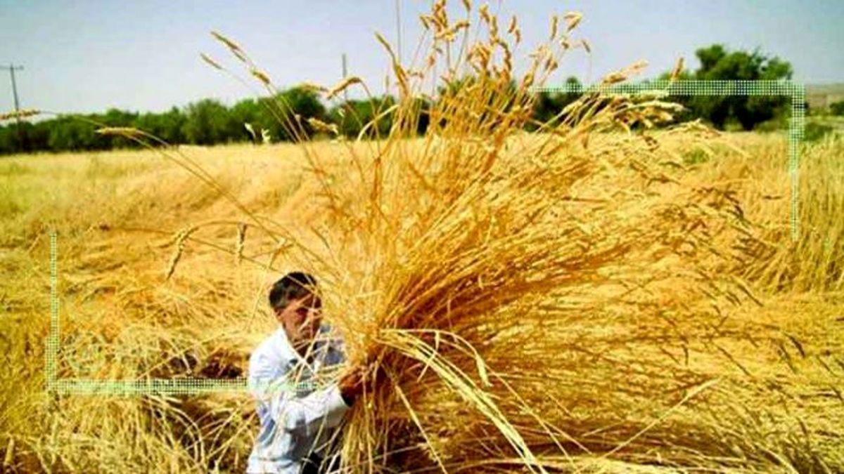 کشاورز ایرانی در منگنه