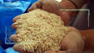 برنج با چه قیمتی به سفره‌ خانوار برگشت؟