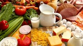 کنفرانس آنلاین  فورس فود