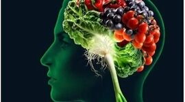 نقش تغذیه سالم در کاهش خطر ابتلا به آلزایمر