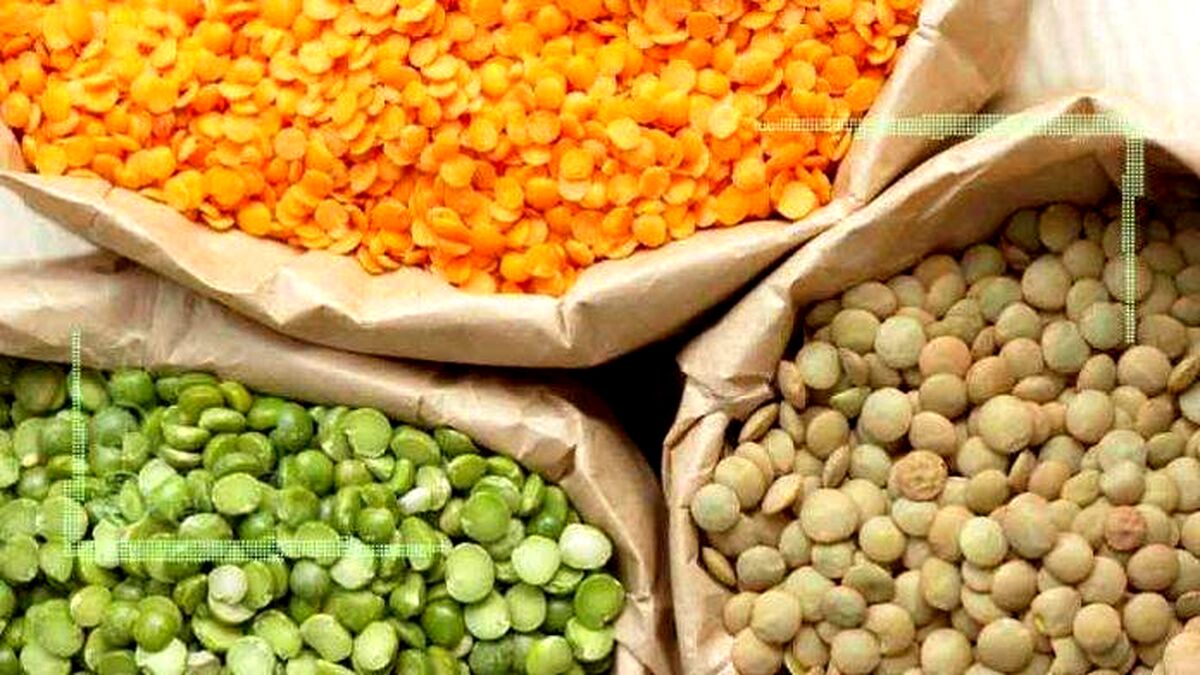 تجمع صادرکنندگان برای رفع ممنوعیت صادرات آخال حبوبات