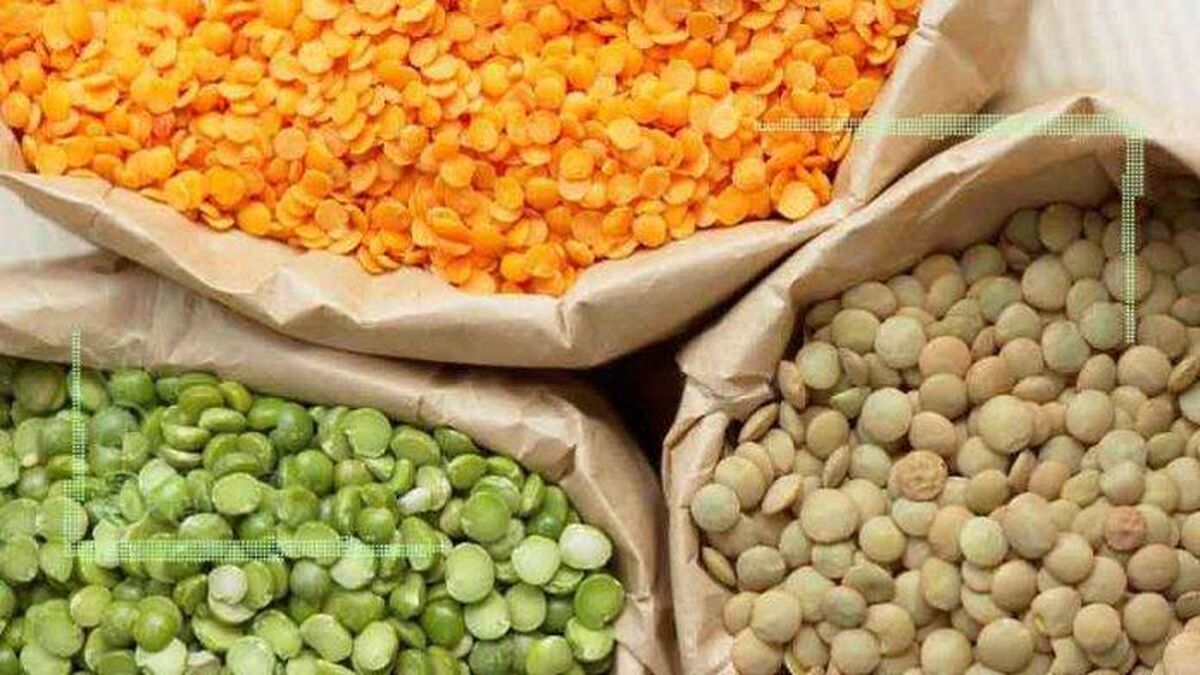 تجمع صادرکنندگان برای رفع ممنوعیت صادرات آخال حبوبات