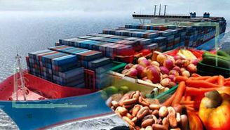 تسهیلات ویژه دولت برای صادرکنندگان کالا به قطر