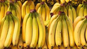 قیمت موز از ۵۰ هزار تومان گذشت