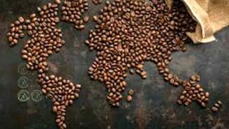 بازار جهانی قهوه تلخ می‌شود؟