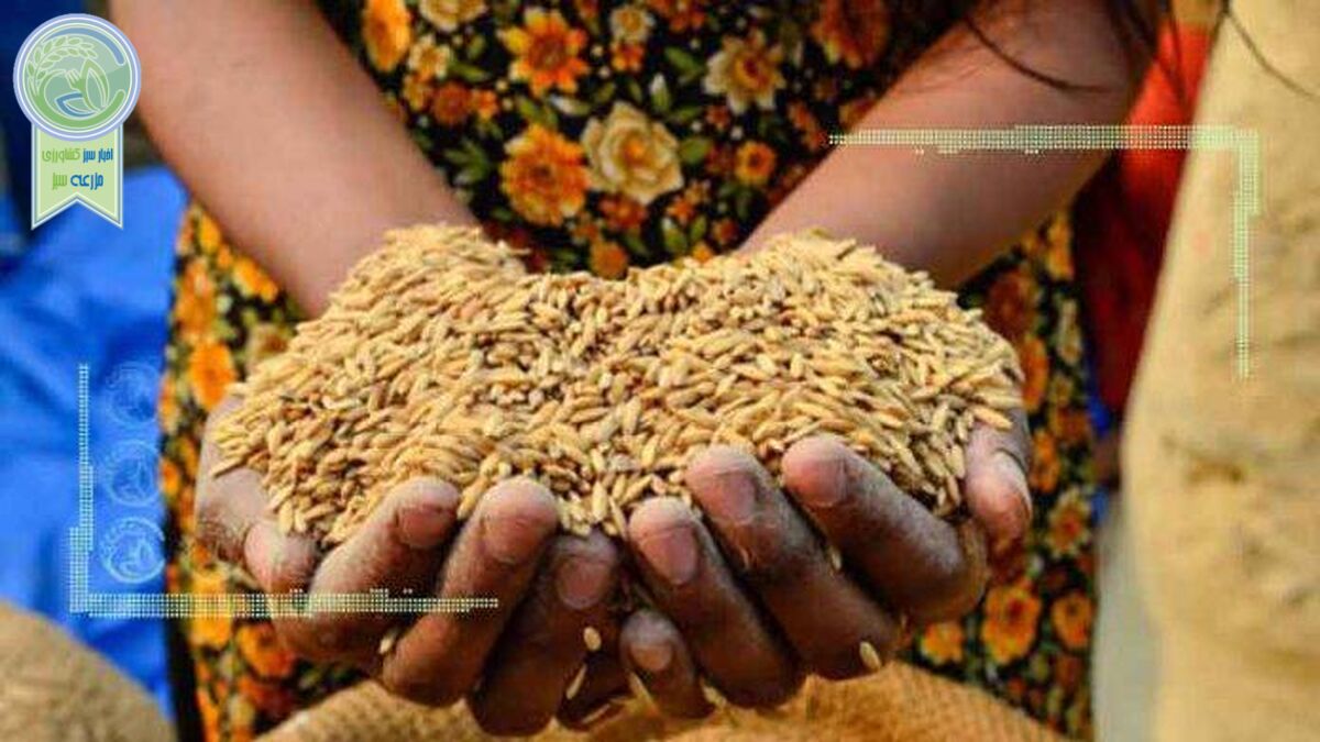 نقش مهم کسب‌وکارها در دست‌یابی به امنیت‌ غذایی