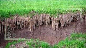 میزان فرسایش خاک در کشور ۷ برابر حد مجاز است