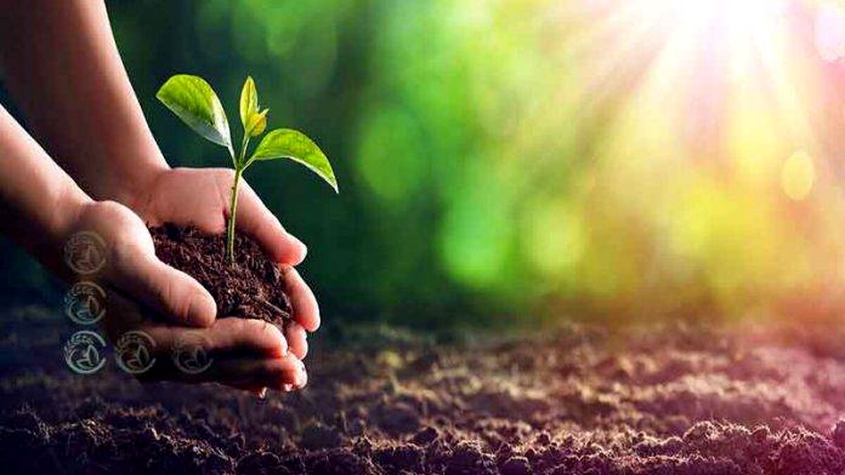 عنصر کلیدی زندگی گیاهان+پادکست
