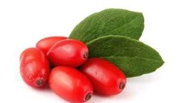 یاقوت سرخ در یک قدمی به بورس و دانش بنیان شدن