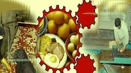 نبود صنایع تبدیلی چالش کشاورزان کرمانی