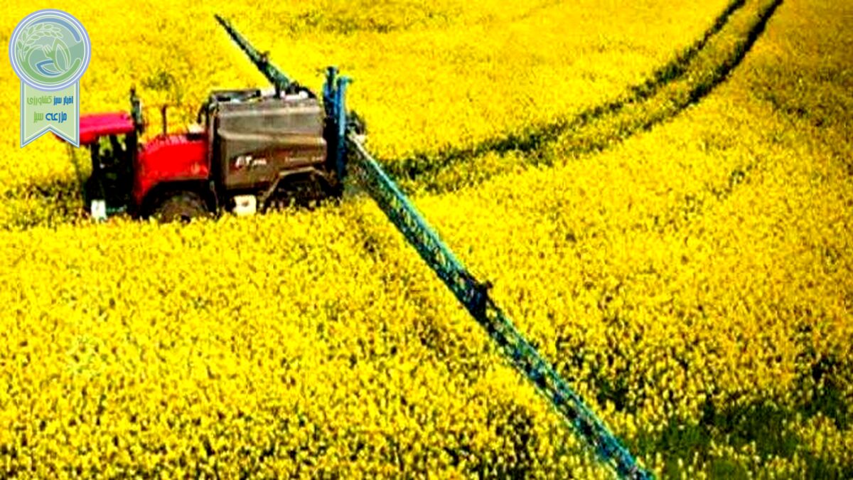 امنیت غذایی با کشت فراسرزمینی