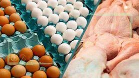 نابودی صدها هزار تخم مرغ برای افزایش قیمت مرغ