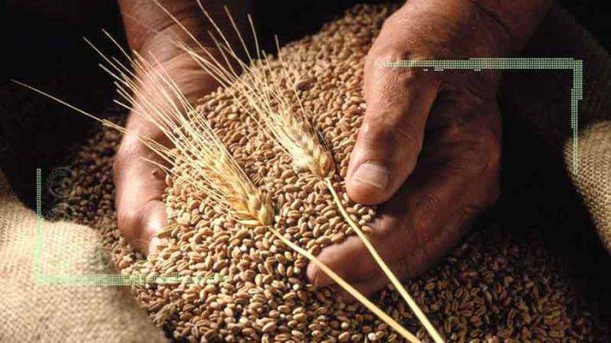 تقویت ذخایر راهبردی کشور با ورود ۳۴۰ هزار تن گندم