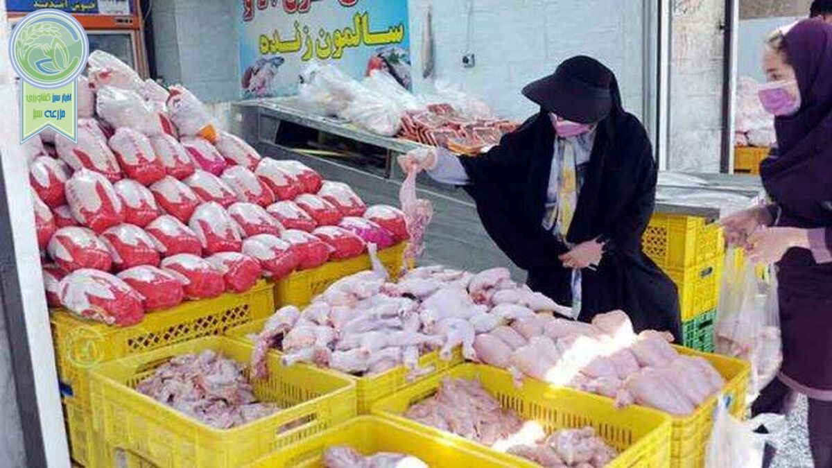 مردم درباره نوسانات قیمت مرغ چه می‌گویند‌