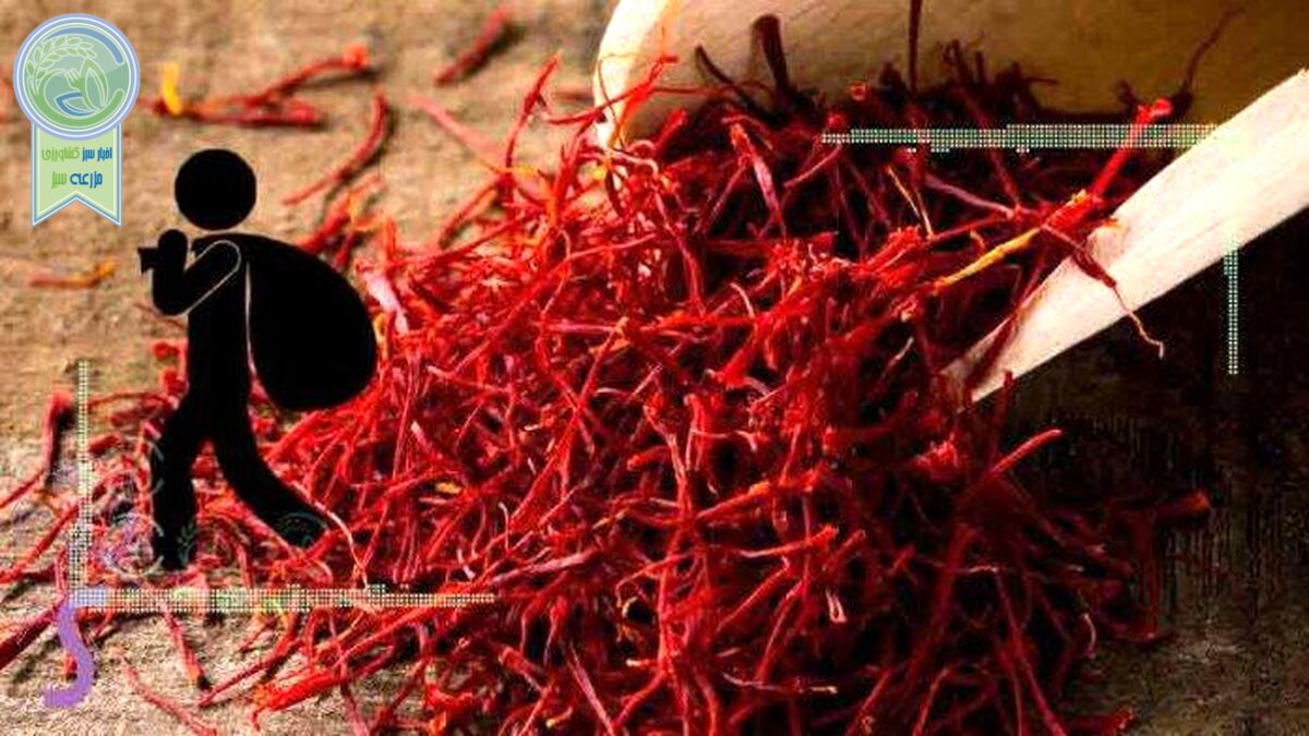 پرونده ۴۶ تن زعفران تعاونی روستایی به کجا رسید؟
