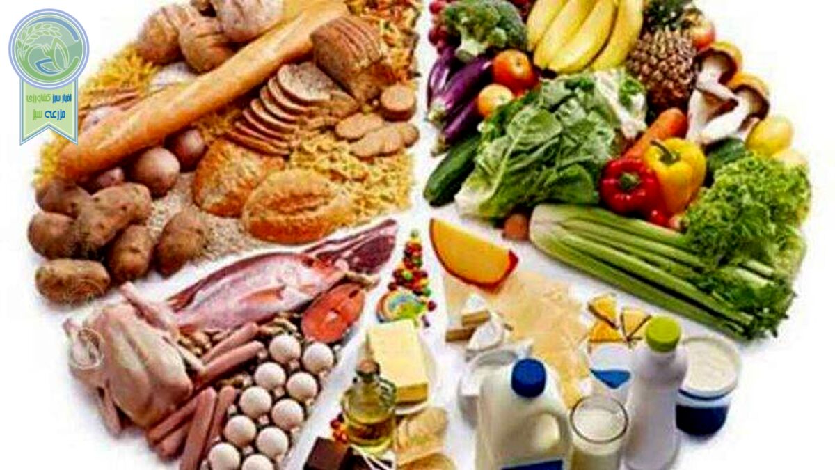 طرح امنیت غذایی به قانون تبدیل شد