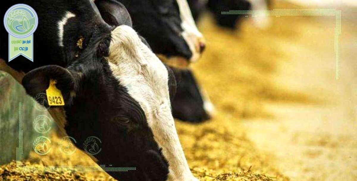 کاهش واردات نهاده ثمره قیمت‌گذاری دستوری
