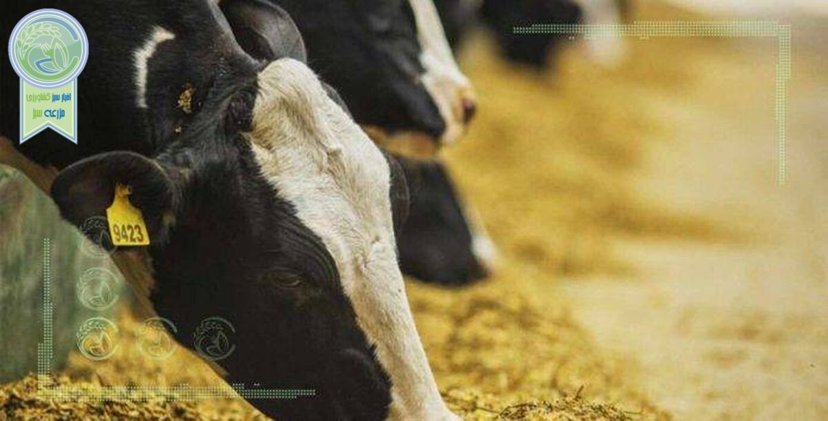 کاهش واردات نهاده ثمره قیمت‌گذاری دستوری