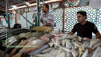 حال ناخوش بازار ماهی